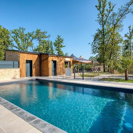 Le Pech Eternel - Des Oliviers